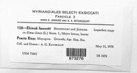 Elsinoe fawcettii image